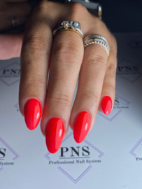 PNSgelpolish 6025