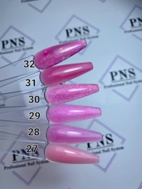 PNS Poly Color AcrylGel DeLuxe 31