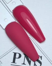 PNSgelpolish 1956