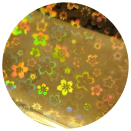 PNS Foil Design 24