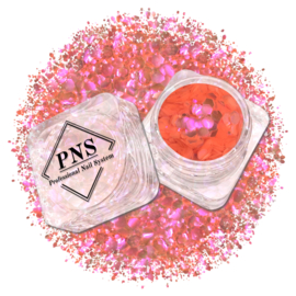 PNS Nail Art Glitter 77 Mix Mat & Shiny - Rood