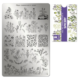MOYRA Stamping plate  91 Spicery