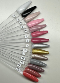 PNS All In One Gel 14