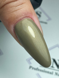 PNSgelpolish 6058