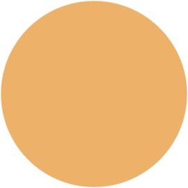PNSgelpolish 2000