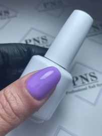 PNS B Bottle Purple