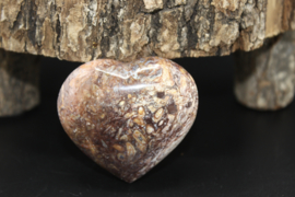Hart  van Stromatoliet 5 cm