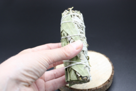 Witte Salie & Eucalyptus Smudge