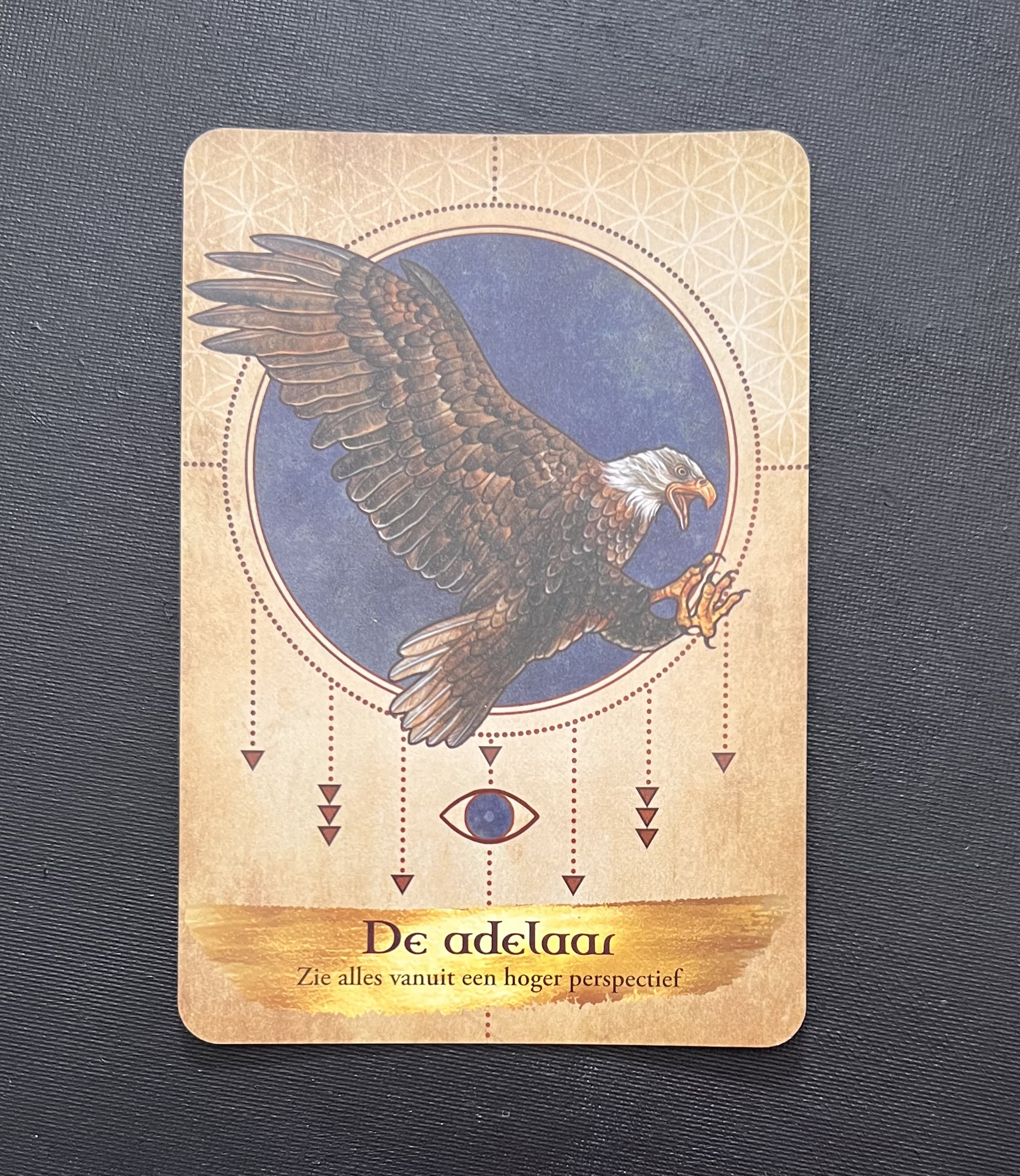 De wijsheid van de spirituele gidsen