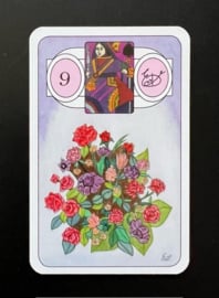 Kaartleggen voor iedereen met Mlle Lenormand (set)