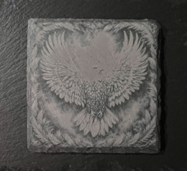 Roofvogel