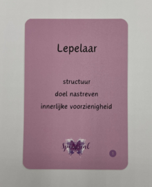 De boodschappen van de vogels bij rouw & verlies
