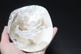 Parelmoeren schelp met parels 13-16 cm