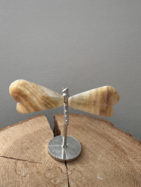 Libelle