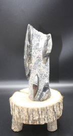 Orthoceras  Sculptuur