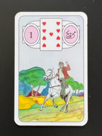 Kaartleggen voor iedereen met Mlle Lenormand (set)