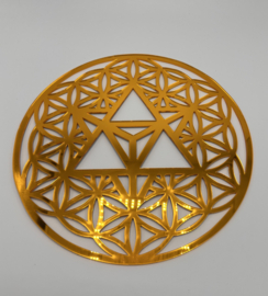 Levensbloem - Merkaba
