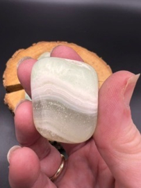Pistache Calciet