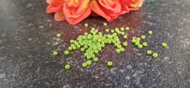 Seed beads Opaque Chartreuse 8/0, 10 gram