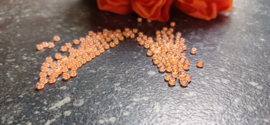 Rocailles Luminous soft orange  8/0, 10 gram