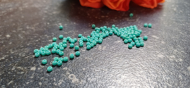 Rocailles Duracoat galvanized sea green  8/0, 5 gram