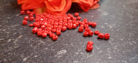 Rocailles Basic Red 6/0, 20 gram