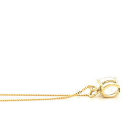 Gouden Hanger met Onbehandelde Topaas
