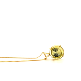 Gouden Hanger met Lemonkwarts