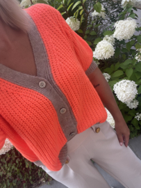 Gilet - oranje