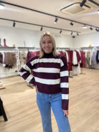 Pull - bordeaux/ecru