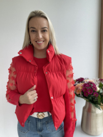 Bodywarmer - rood