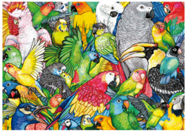 Papegaaien 500 Stukjes