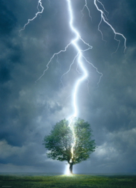 Eurographics Lightning Striking Tree 1000 Stukjes