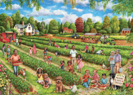 FALCON Strawberry Picking 1000 Stukjes
