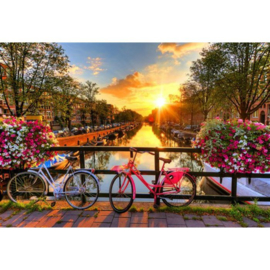 Wooden City Bikes In Amsterdam