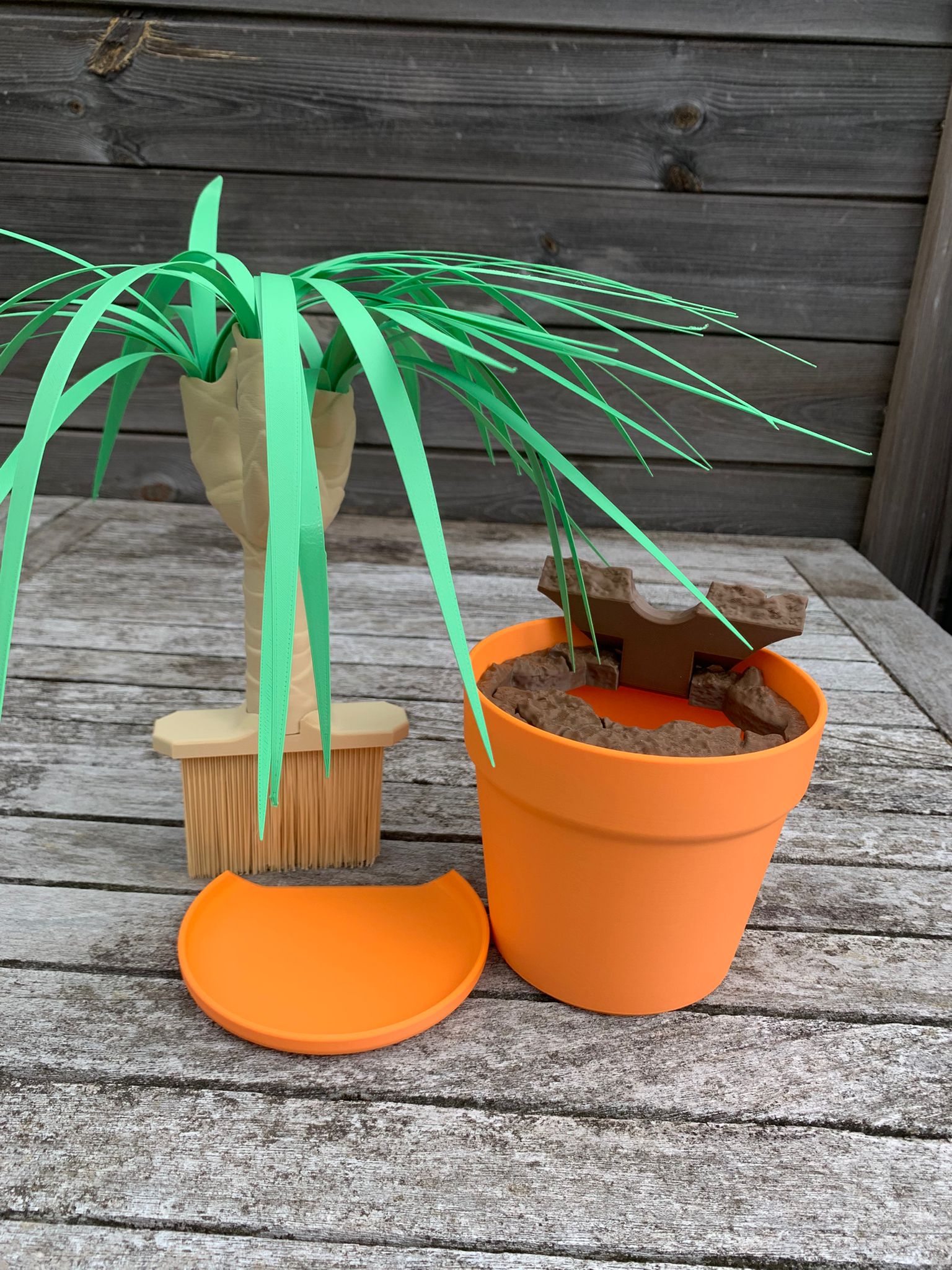 Dust‑Free Dragon Tree – De plant die meer kan