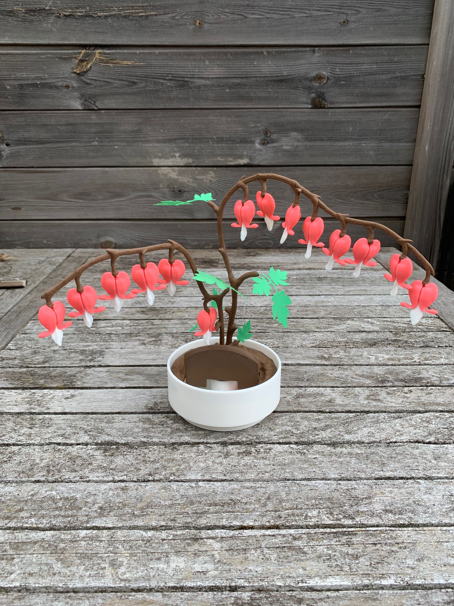 Bleeding Hearts – Liefde in Bloei, elke dag opnieuw