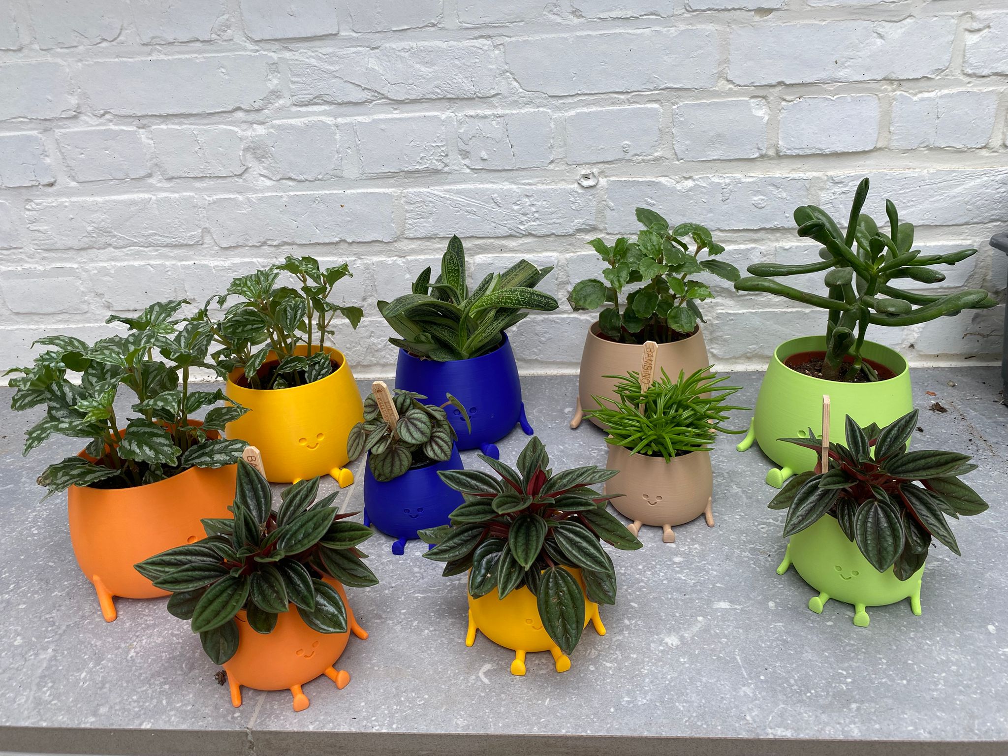 Happy pot groot en klein