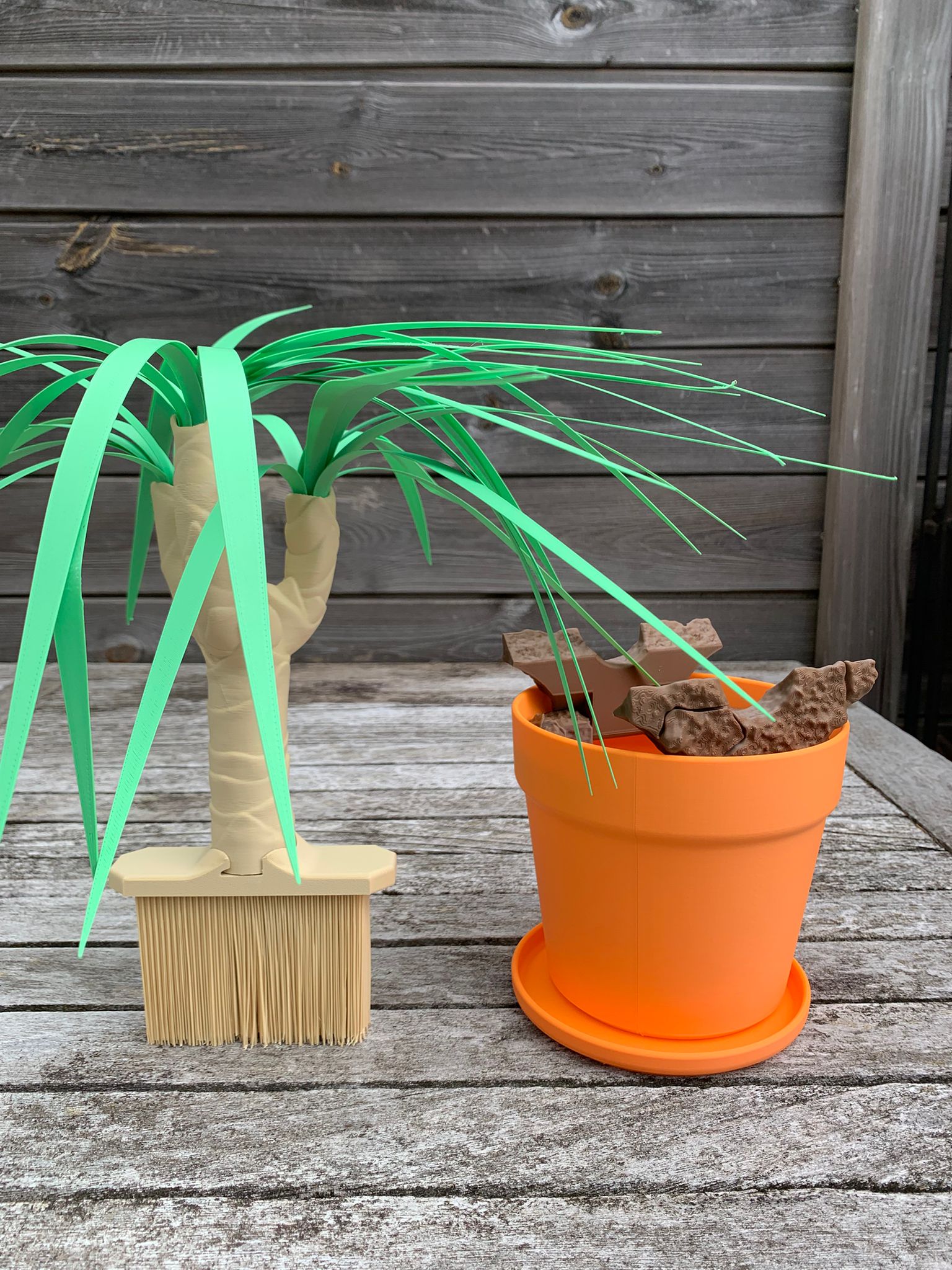 Dust‑Free Dragon Tree – De plant die meer kan