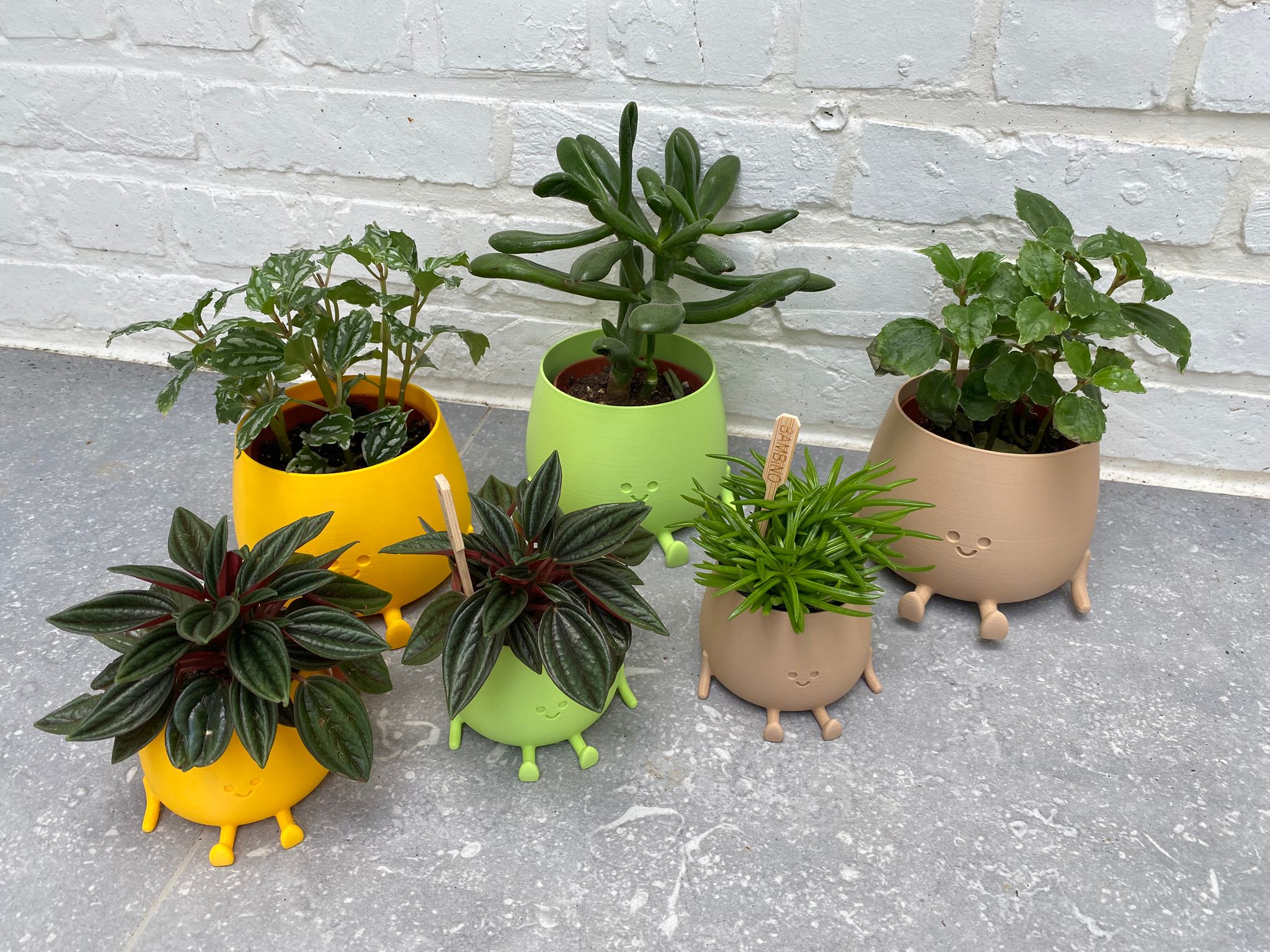 Happy pot groot en klein