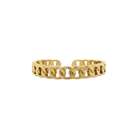 Chain ring goud