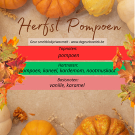 Geur smeltblokje - Herfstpompoen