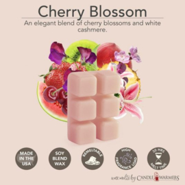 6-pack geur smeltblokjes - Cherry Blossom