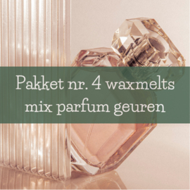 Cadeaupakket klassieke brander Naturéa collectie + set 4 parfumgeuren