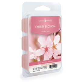 6-pack geur smeltblokjes - Cherry Blossom