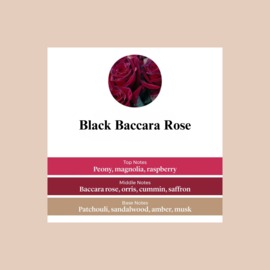 Black Baccara Rose