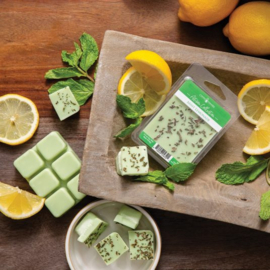 6-pack geur smeltblokjes - Mint Lemonade