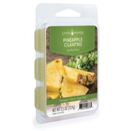 6-pack geur smeltblokjes - Pineapple Cilantro