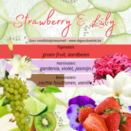 Geur smeltblokje - Strawberry & Lily