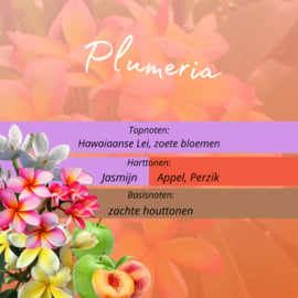 Geur smeltblokje - Plumeria (Hawaïaanse Lei)